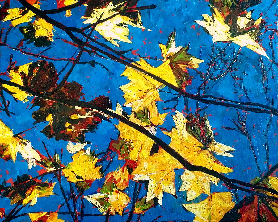 Landscape format in loose acrylics mostly applied by painting knife, on canvas. Close up of section of tree with some autumnal leaves as viewed from underneath looking up against sky. Leaves are mostly yellow with parts white or black based on light, and some touches of red and green. They have sharp acute angular lobes and are textured. Branches are thin and rendered in black, sometimes flecked with red. The two largest branches run generally parallel sloping down from the upper left area to the bottom right, and have no leaves underneath them. The sky is a painterly deep blue. This photo was taken before I signed the painting - which would be red and in the bottom left against the blue sky.