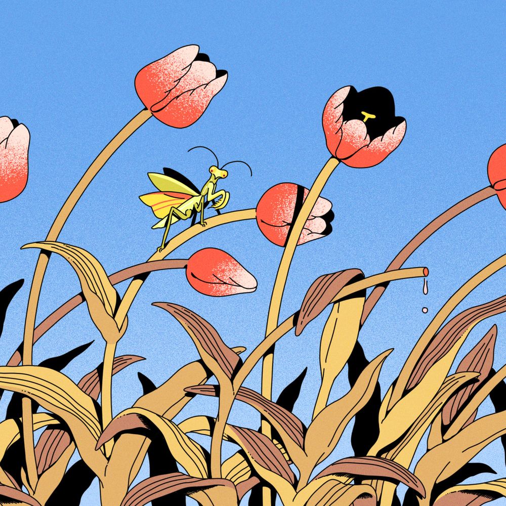 Post image (had no alt text on Bluesky)