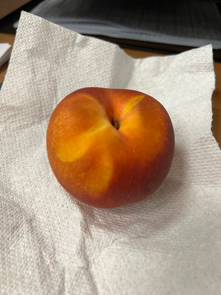 A beautiful ripe peach sitting on a paper towel on my desk waiting for me to devour it. 