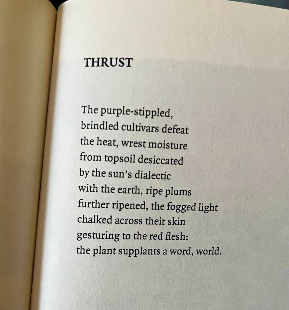 THRUST // The purple-stippled, / brindled cultivars defeat / the heat, wrest moisture / from topsoil desiccated / by the sun's dialectic / with the earth, ripe plums / further ripened, the fogged light / chalked across their skin / gesturing to the red flesh: / the plant supplants a word, world. 