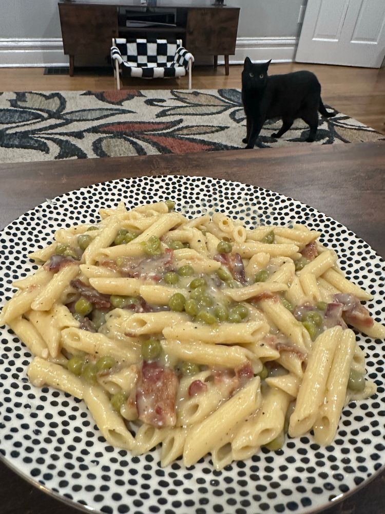 A plate of pasta with a cat in the background 