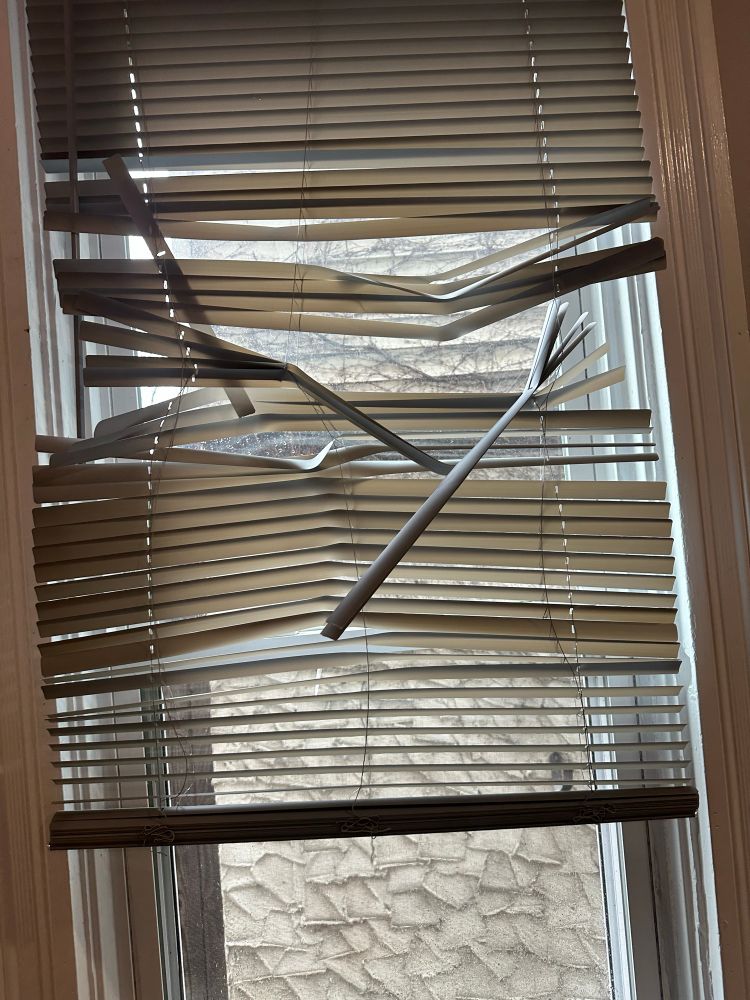 A fucking WRECKED set of blinds
