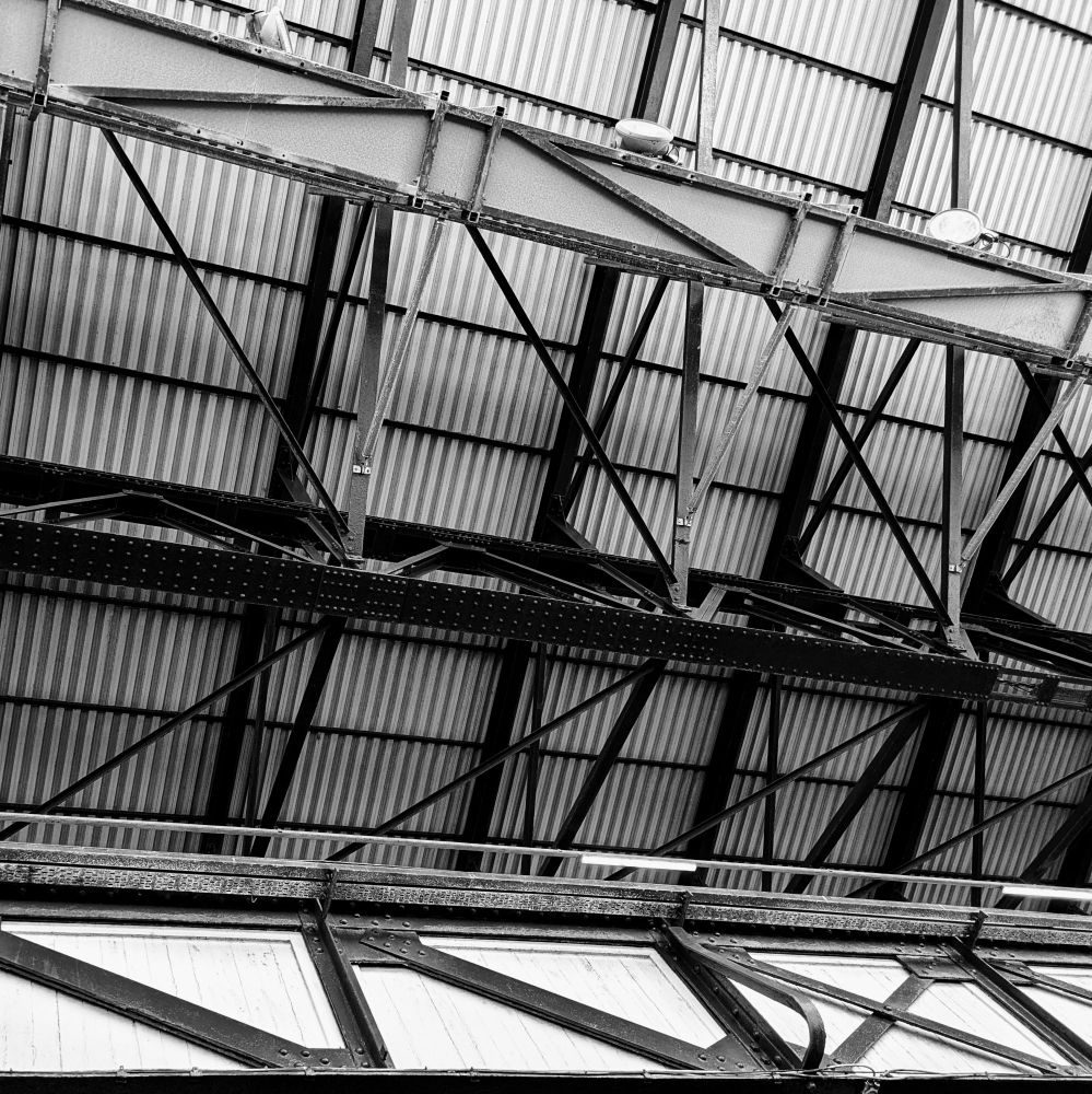 Looking up from the Paddock at the Bullens Road roof