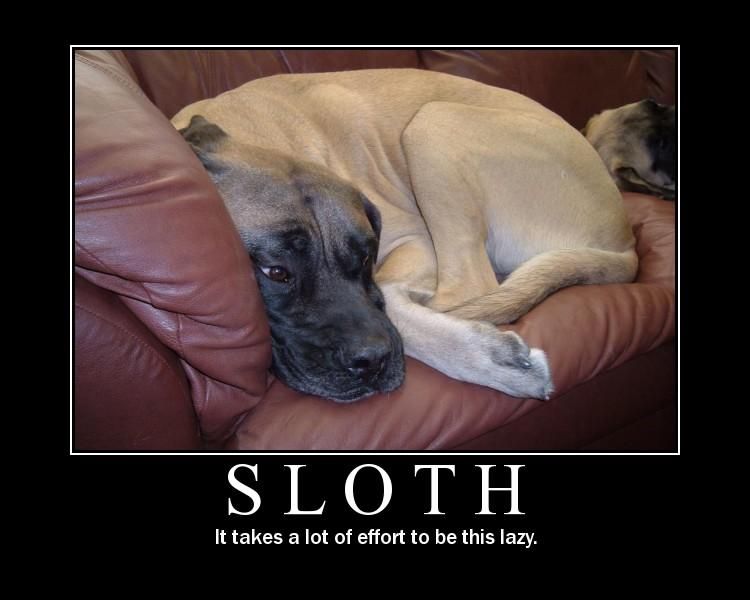 A "Demotivation" style poster, showing an English Mastiff curled up on a couch, resting his head against the armrest. The caption below it reads "SLOTH: It takes a lot of effort to be this lazy."