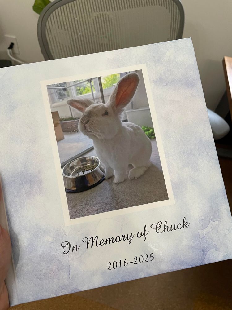 Photo book labeled “in memory of Chuck 2016-2025” with a cover photo of Chuck with his chin up in front of his pellet bowl