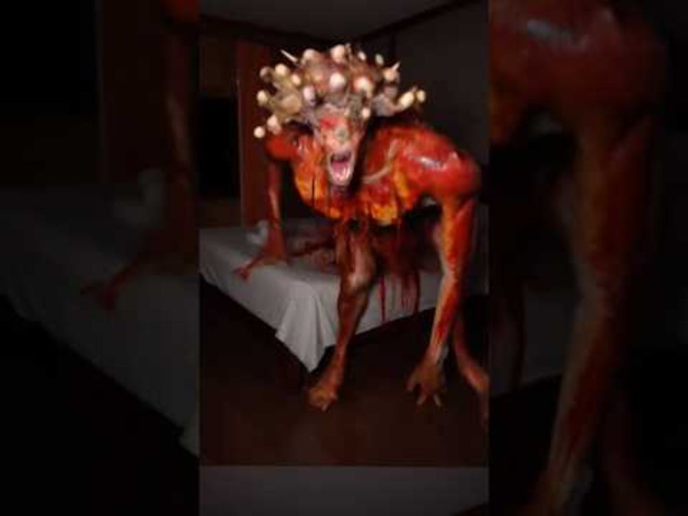 This is the last footage found inside a mobile phone in Costa Rica. [Turn ON sound] #foundfootage