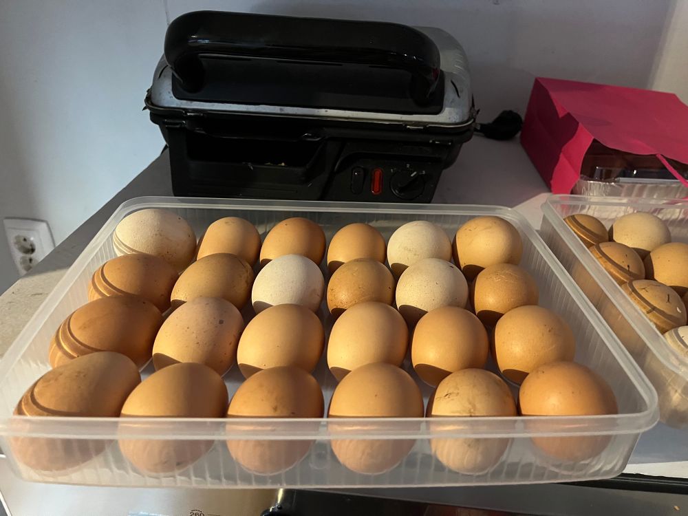 Organic eggs every Monday. 5€