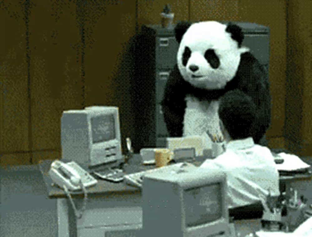 a panda bear is sitting at a desk with a computer and a phone