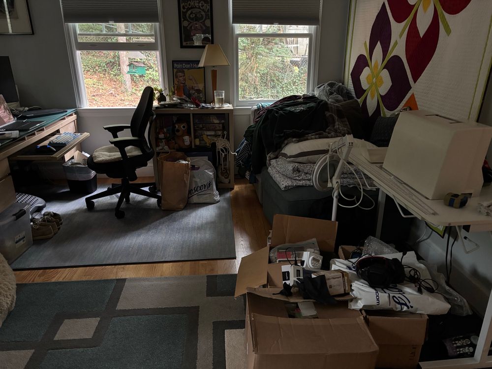 A room full of junk piled up on every surface and more junk in several boxes on the floor. All the junk came out of my closet. 