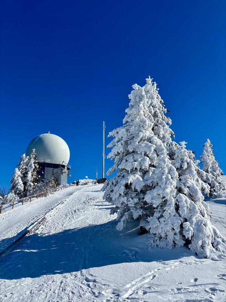 A Snow-covered landscape near the summit of Großer Arber. On the right, a tree covered in snow. On the left, a radar dome.
