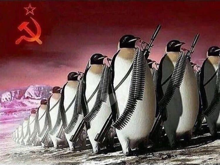 commie penguins