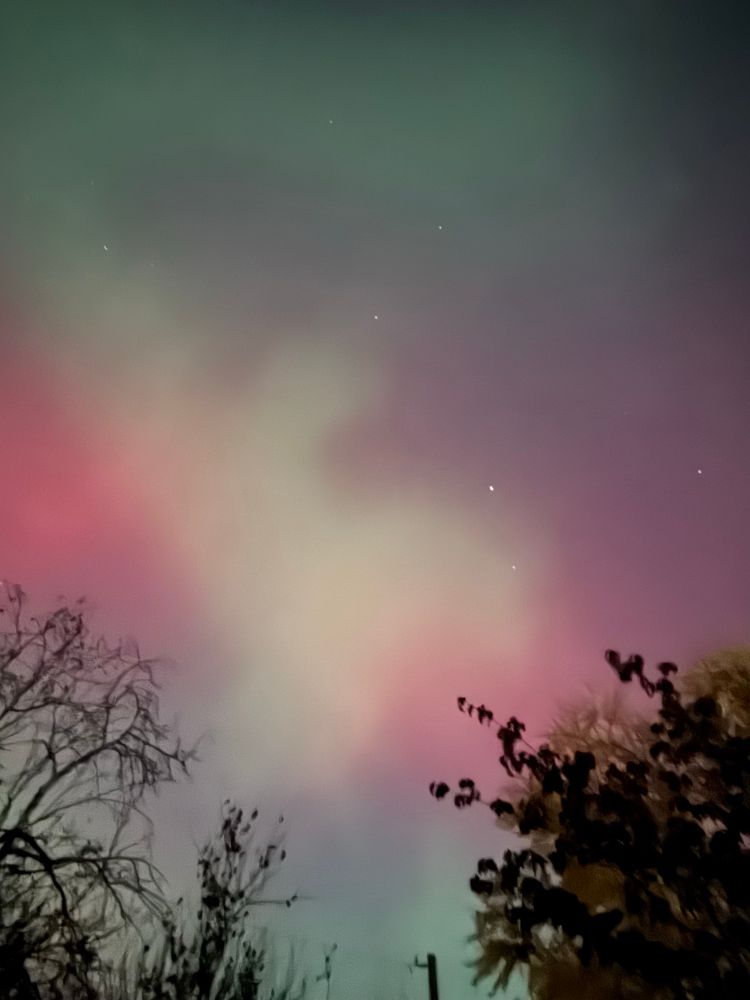 Wavy greens, pinks, purples and reds of the aurora borealis with dark shadows of trees and powerlines in the foreground. 