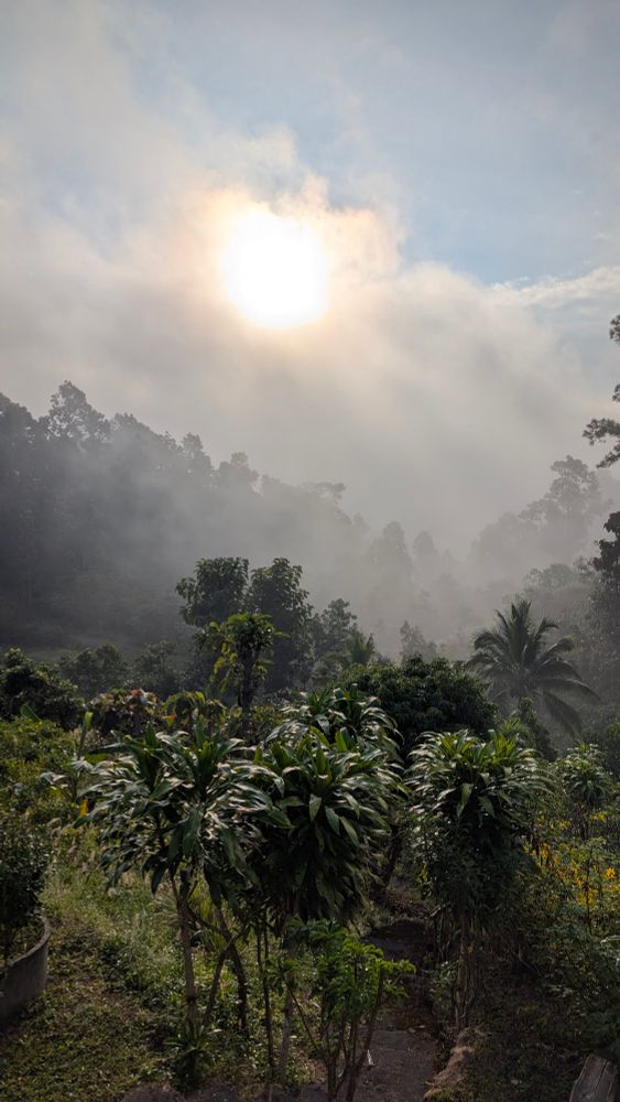 Sunrise in Thailand over a forest 