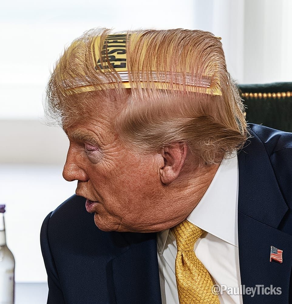Picture of Donald Trump with a stack of papers labeled "Epstien" on top of his head, slightly hidden by his comb over. 