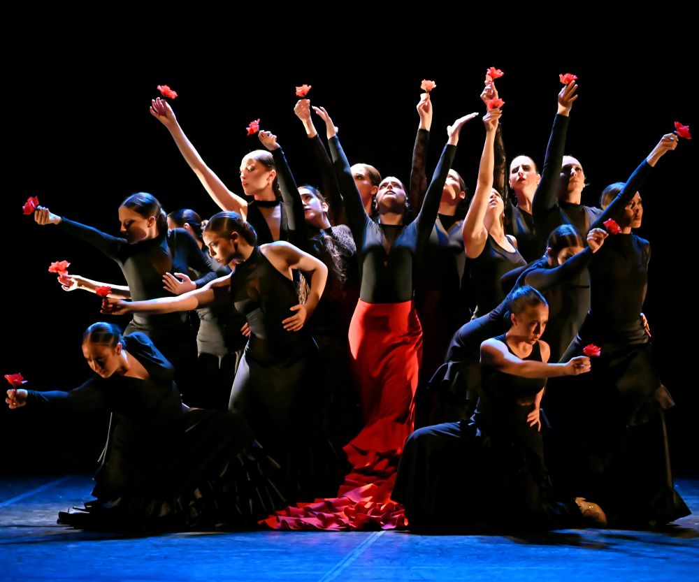 FEX Conservatorio de danza de Granada, Obra 'Raíces'