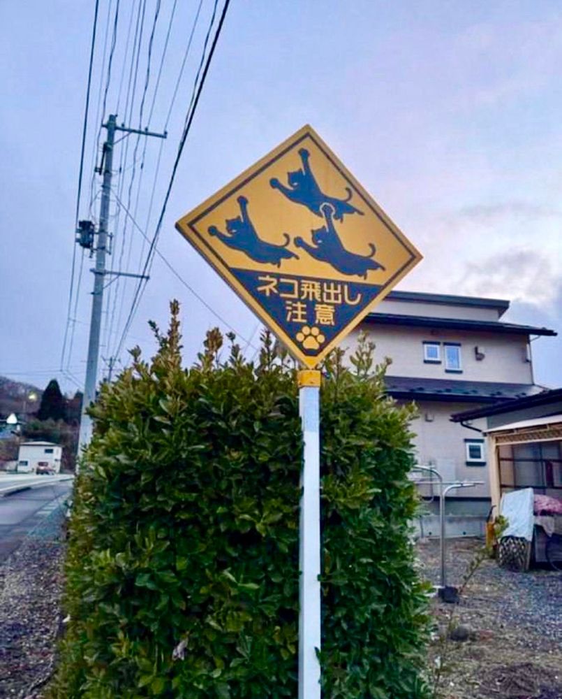 A yellow street sign in Japanese with three black flying through the sky. Below is text that says  ネコ飛出し注意 (neko tobidashi chūi) Means “watch for cats darting out” 