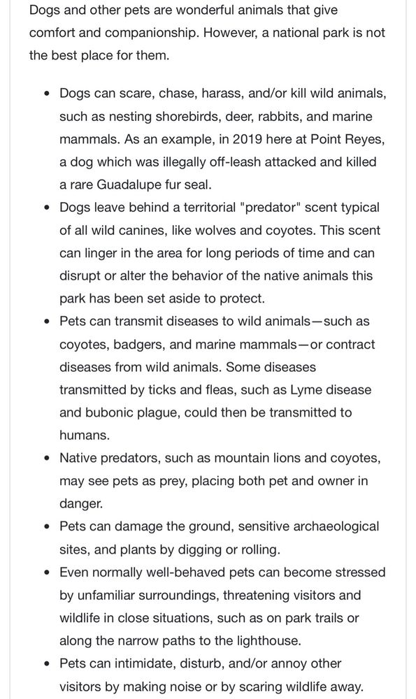 Dogs and other pets are wonderful animals that give comfort and companionship. However, a national park is not the best place for them.
• Dogs can scare, chase, harass, and/or kill wild animals, such as nesting shorebirds, deer, rabbits, and marine mammals. As an example, in 2019 here at Point Reyes, a dog which was illegally off-leash attacked and killed a rare Guadalupe fur seal.
• Dogs leave behind a territorial "predator" scent typical of all wild canines, like wolves and coyotes. This scent can linger in the area for long periods of time and can disrupt or alter the behavior of the native animals this park has been set aside to protect.
• Pets can transmit diseases to wild animals-such as
coyotes, badgers, and marine mammals — or contract diseases from wild animals. Some diseases transmitted by ticks and fleas, such as Lyme disease and bubonic plague, could then be transmitted to humans.
• Native predators, such as mountain lions and coyotes, may see pets as prey, placing both pet and owner in danger.
• Pets can damage the ground, sensitive archaeological sites, and plants by digging or rolling.
• Even normally well-behaved pets can become stressed by unfamiliar surroundings, threatening visitors and wildlife in close situations, such as on park trails or along the narrow paths to the lighthouse.
• Pets can intimidate, disturb, and/or annoy other visitors by making noise or by scaring wildlife away.