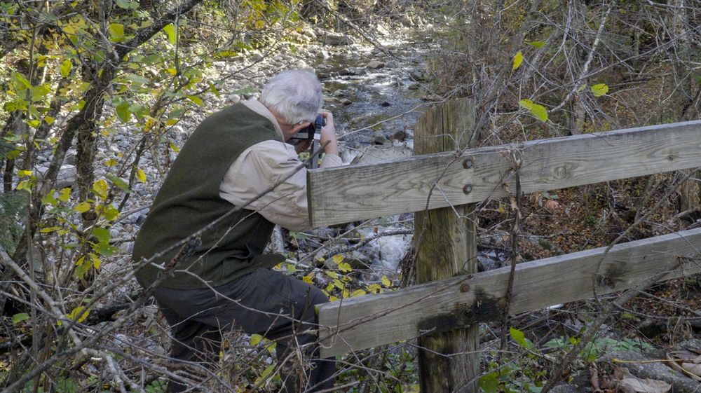 My father getting a good shot of Branch Brook in Vermont, running at normal levels after some fall flooding. We missed peak color, but he got some amazing shots. Technically on point all the way, and his eye is well trained to find the "winning image" in many situations that are non-optimal. The secret to being a good nature photographer or photojournalist: "Have your gear and yourself ready to capture what is happening, then, if you have time, find that special shot nd take your time to nail it."