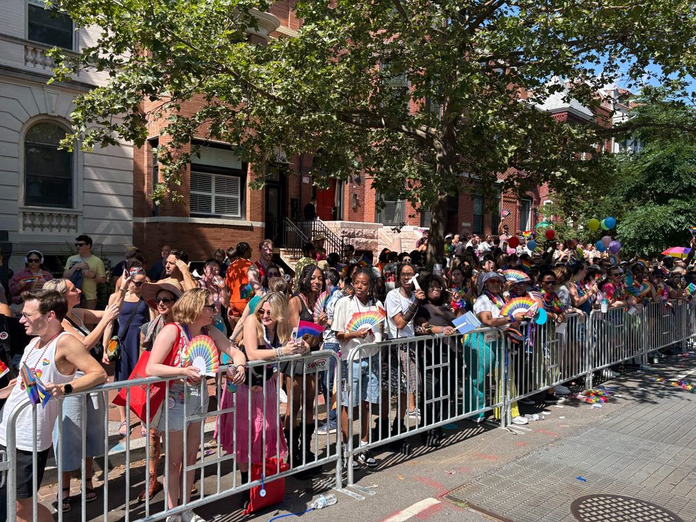 A crowd lines the street at World Pride
