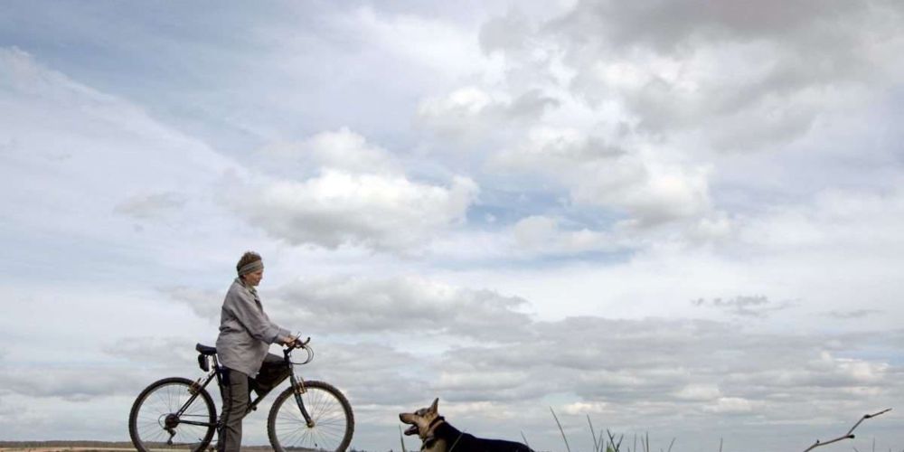 Radfahrer warnte zu spät und kollidierte mit Hund: Kein Schadenersatz