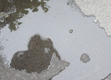 Mon reflet dans une flaque.