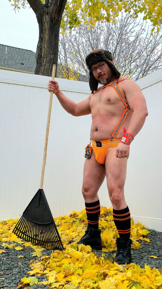 Orange glow jocks and harness while raking leaves this morning 