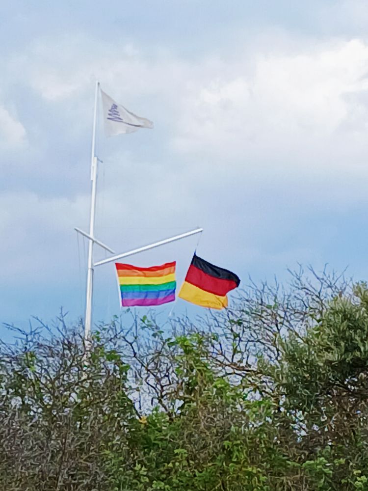 Strandvegetation vor Gewitterhimmel. An einem Mast wehen ein Wimpel, eine Deutschland- und eine Regenbogenflagge.