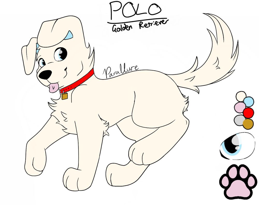 Ref sheet of a golden retriever puppy, creamy ivory in colour, with a red collar and padlock, and with floppy ears with blue on the inside and blue eyes