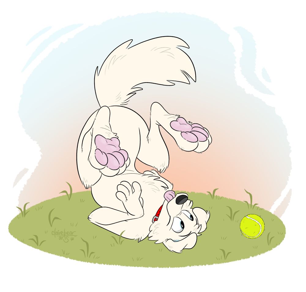 Golden retriever puppy on its back, upside down with paws in the air, looking at a ball on the floor “above” it