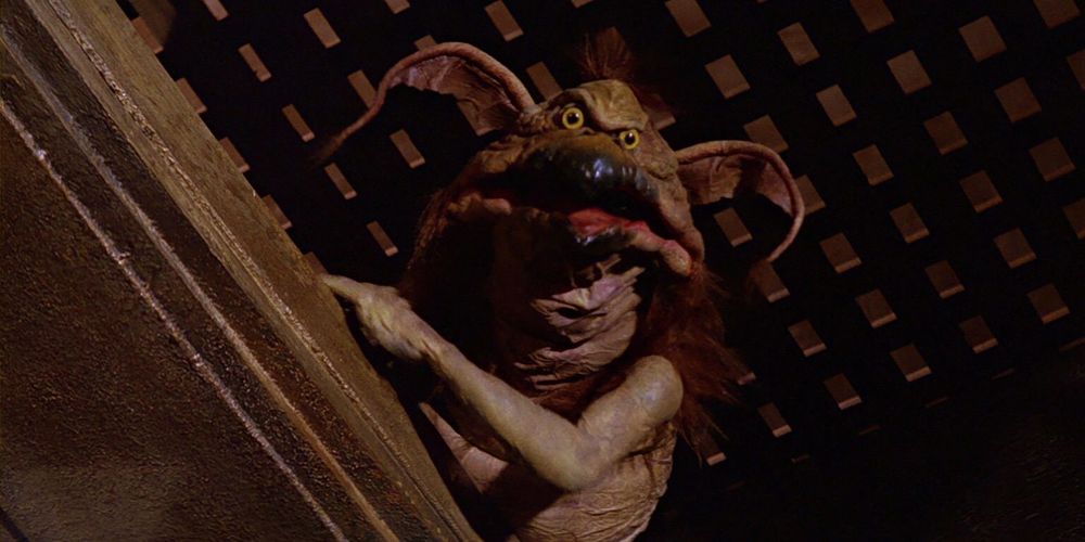 Salacious B. Crumb, Jabba the Hutt’s jester. He is about the size of a cat, with spindly limbs, a short black beak, and wide floppy ears.