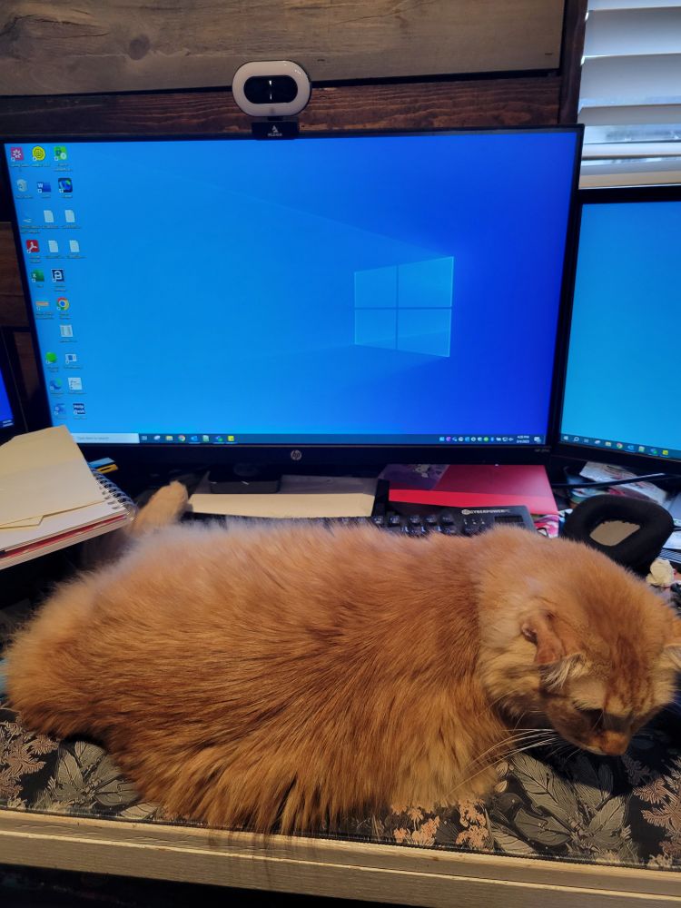 Photo of fluffy orange cat laying on my computer desk, blocking the keyboard 