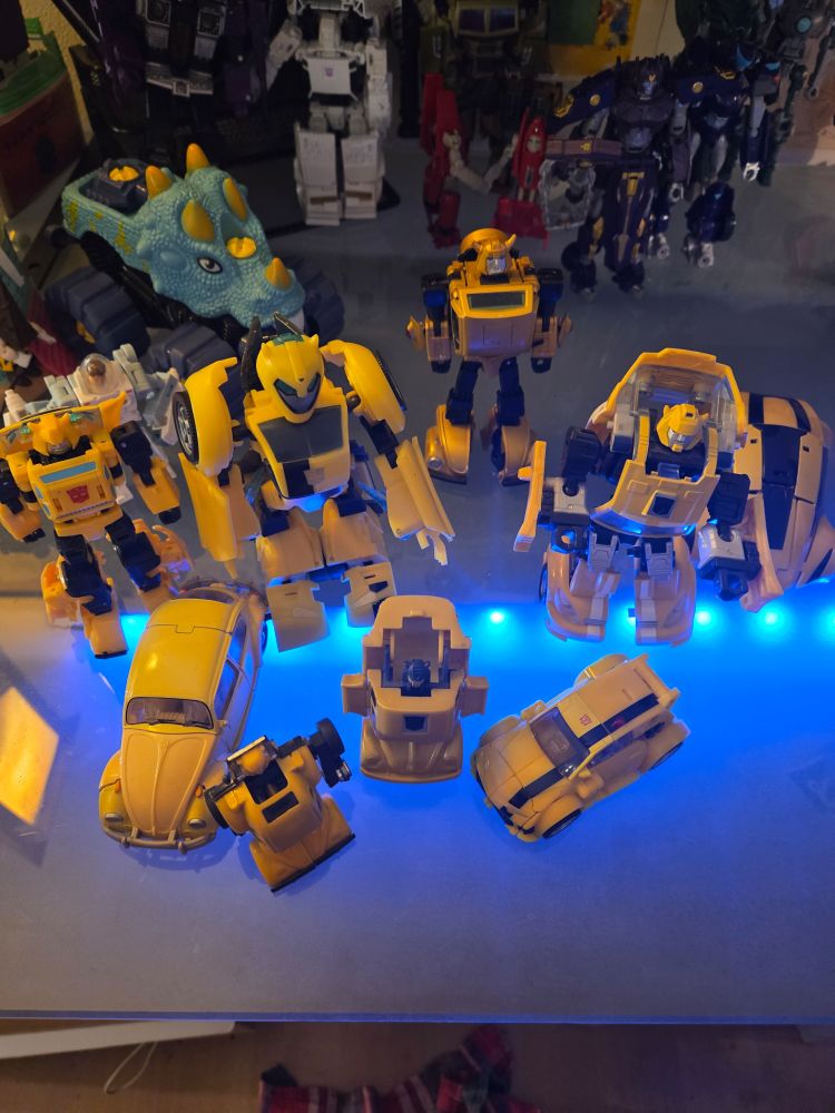 Many different versions of Bumblebee, the yellow kid-friendly Transformer