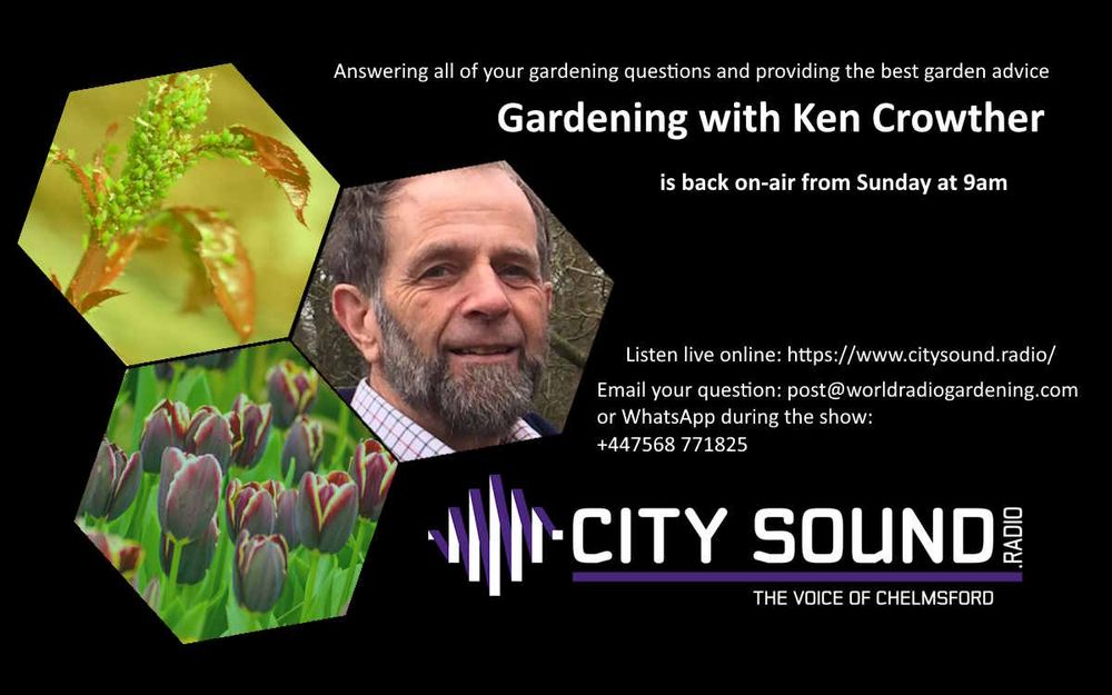 Ken is back answering your questions live on City Sound Radio from 9am this morning.