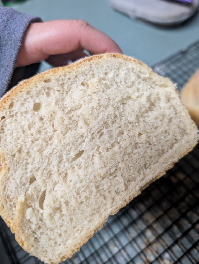 The inside of a load of bread on a wire rack

