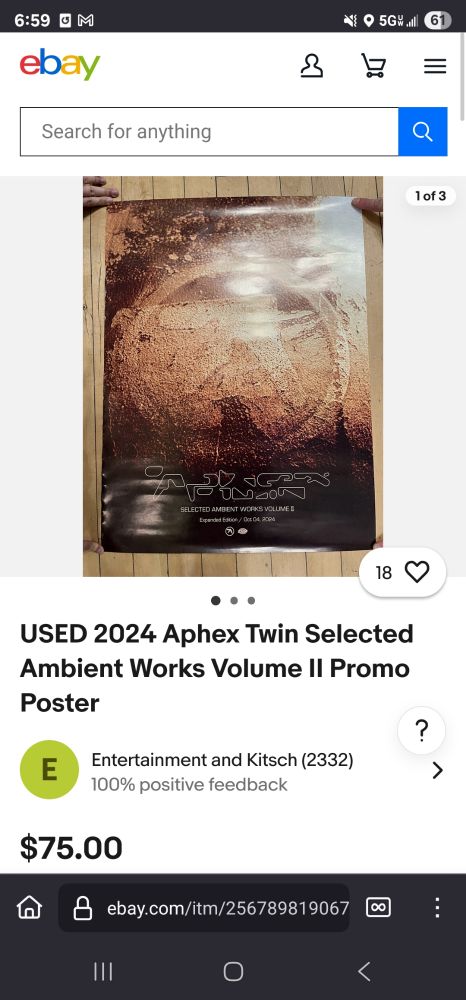 eBay listing for a "USED 2024 Aphex Twin Selected Ambient Works Volume II Promo Poster", $75