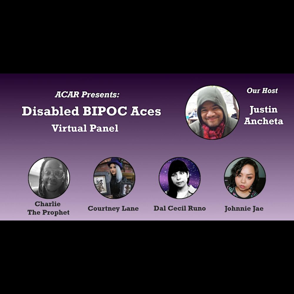 Disabled BIPOC Aces: A Virtual Panel