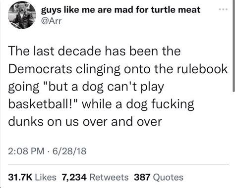 twitter post from 2018 that reads:

The last decade has been the Democrats clinging onto the rulebook going "but a dog can't play basketball!" while a dog fucking dunks on us over and over