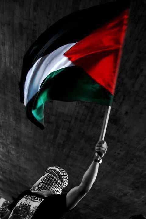 Ein vermumter Zivilist schwenkt die Flagge Palestinas.