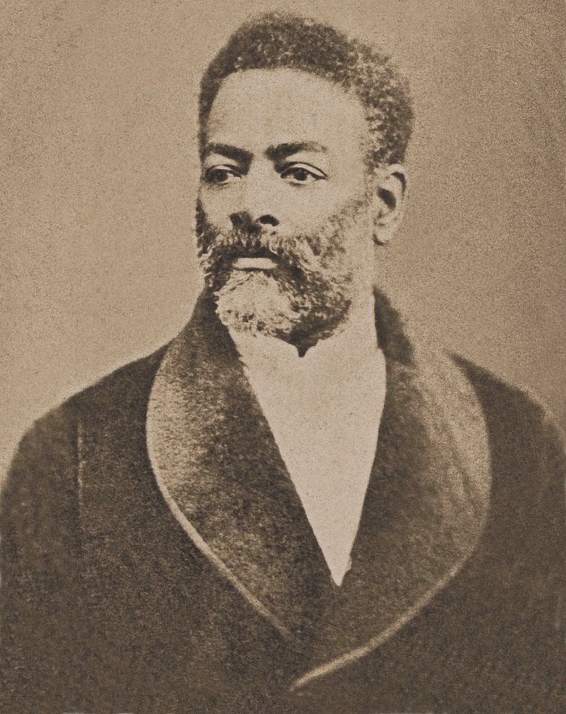 Portrait of a bearded man wearing a coat and high collar c. 1880