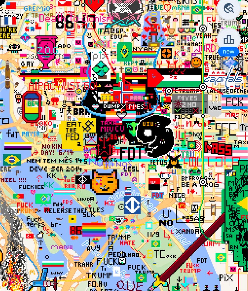Wplace screenshot of the Whitehouse completely covered in drawings such as pride flags, Palestinian flags and text about releasing the documents 