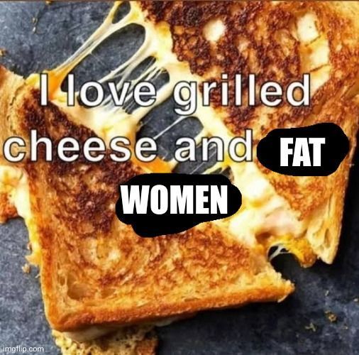 a picture of a grilled cheese sandwich with the text "i love grilled cheese and fat women" superimposed.