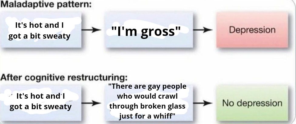 image depicting two flow charts. the first one reads "its hot and i got a bit sweaty → im gross → depression." the second one reads "its hot and i got a bit sweaty → there are gay people who would crawl through broken glass just for a whiff → no depression"