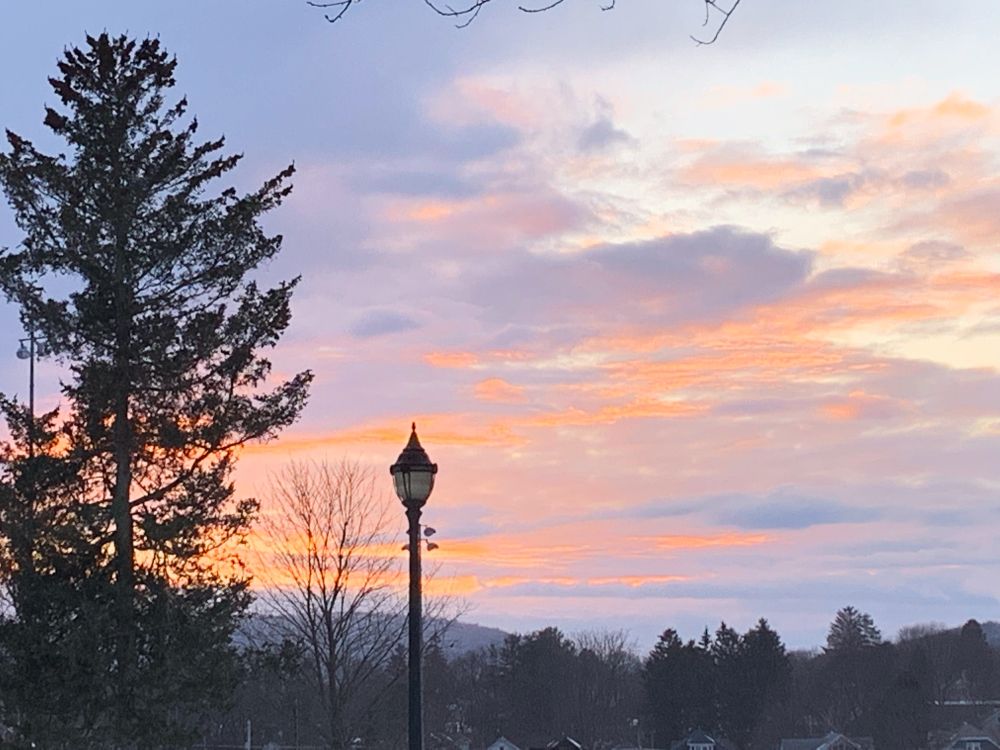 An old-fashioned street lamp against a sky streaked with pinkish-orange clouds. A large pine tree to the left of the frame and a low hill in the distance, with evergreens and bare deciduous trees in front of the hill.