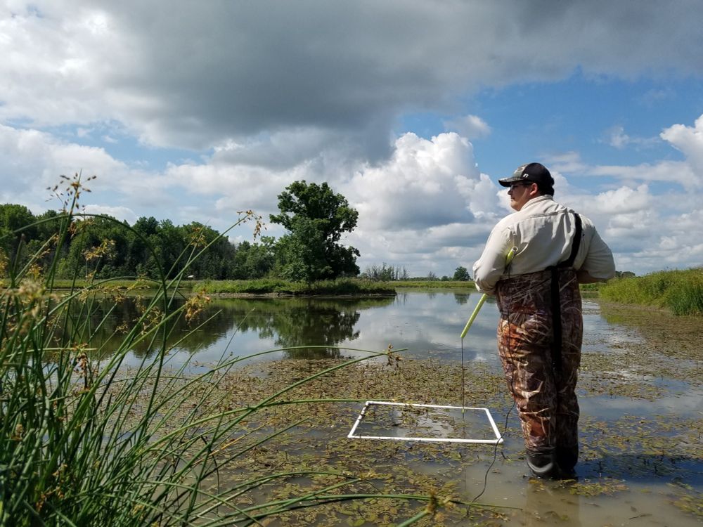 A field researcher stands shin-deep in a large pond on a with a quadrat and hydrophobic collecting underwater sound recordings