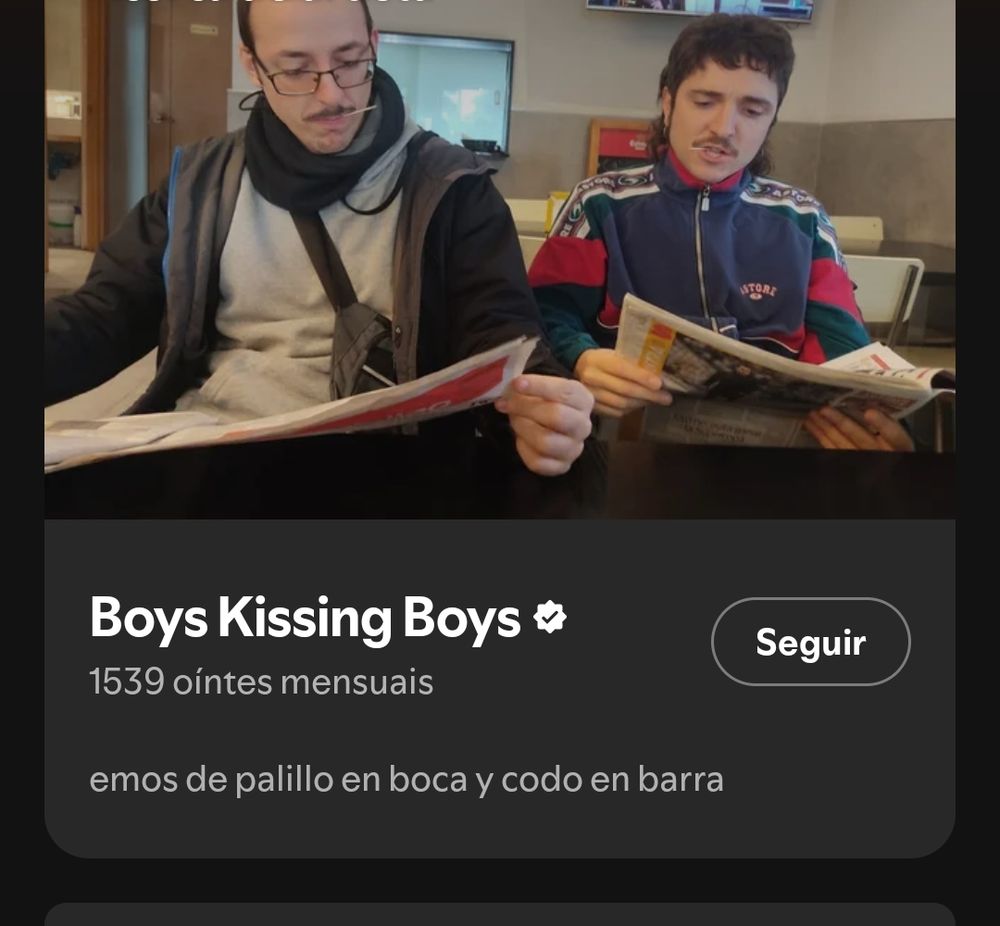 Bloque de descripción del grupo Boys Kissing Boys en Spotify, donde se definen como "emos de palillo en boca y codo en barra"