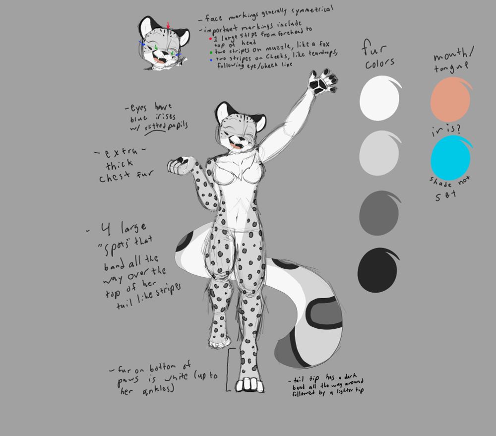 Reference sheet for a Snow leopard named Cass. She is smiling and waving at the viewer.