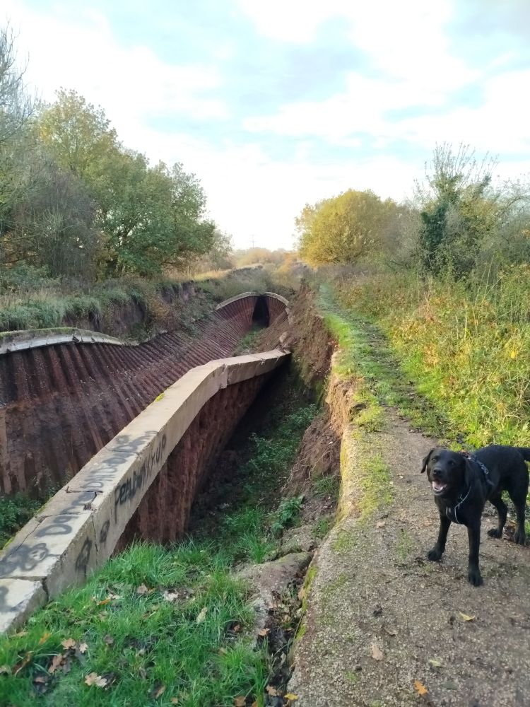 Collapsed canal