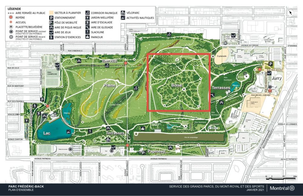 Plan du parc Frédéric-Back avec la zone boisée faisant l'objet des travaux encadrée en rouge