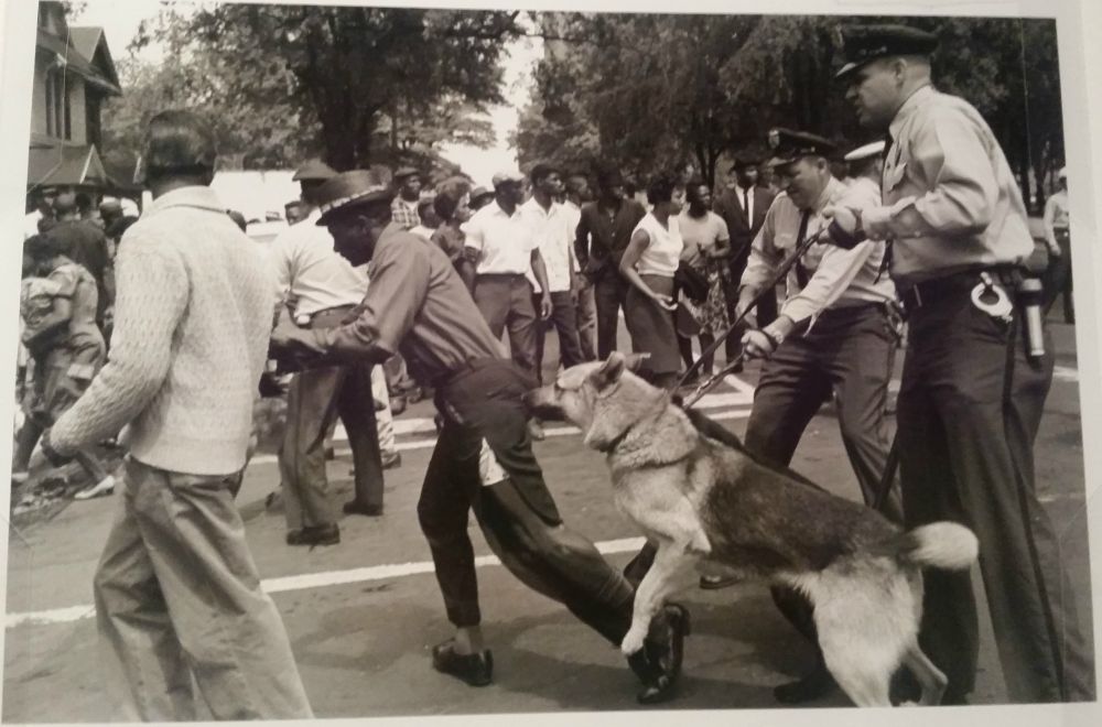 Police dog bites the butt of a well dressed black man as a crowd is on the street of a peaceful protest 