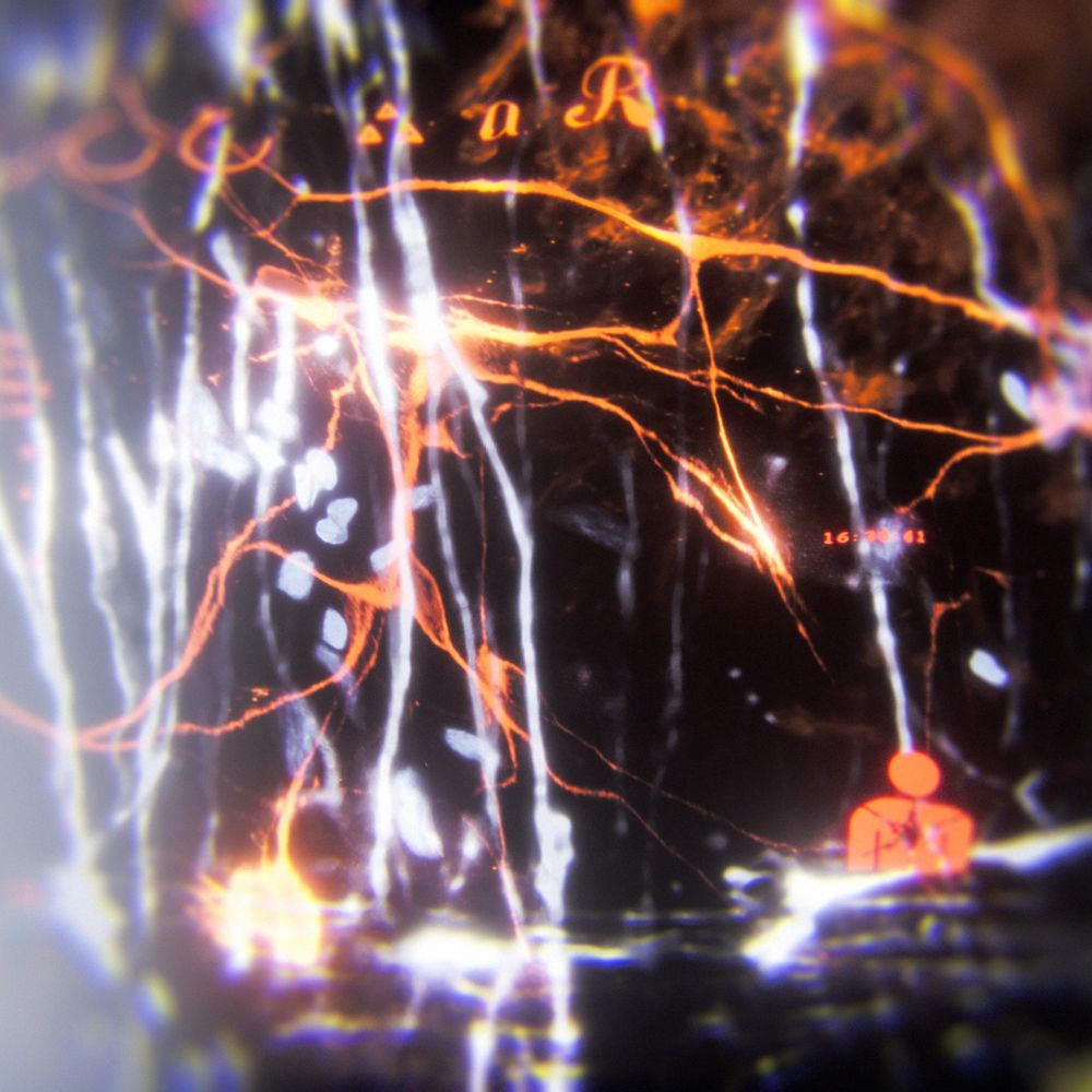 Screenshot from the videogame Brood Ma : Dadda.